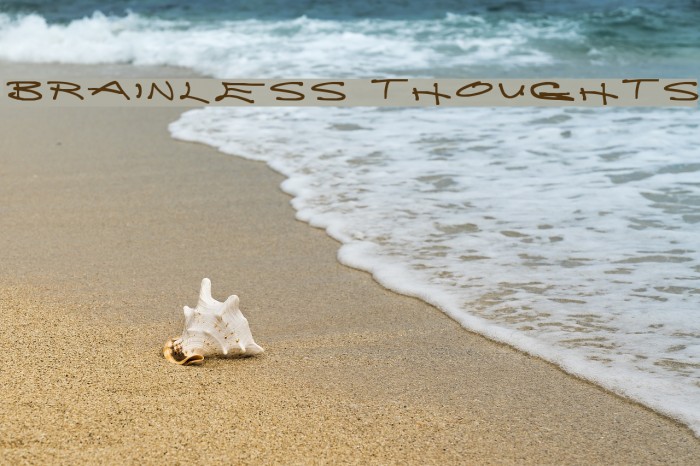 Brainless Thoughts Example 3