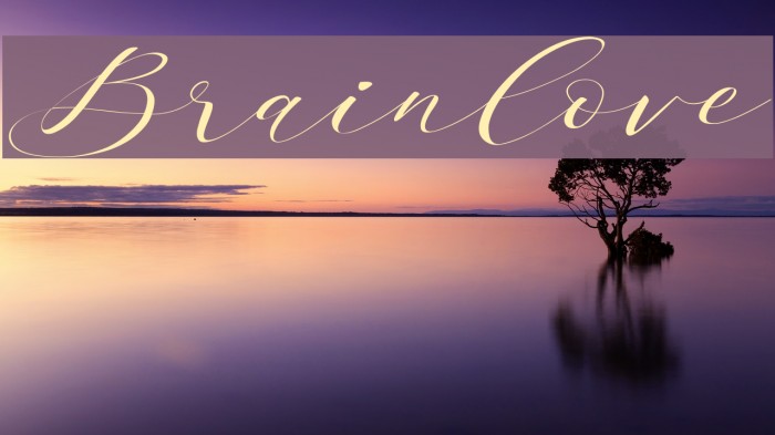 Brainlove Font examples