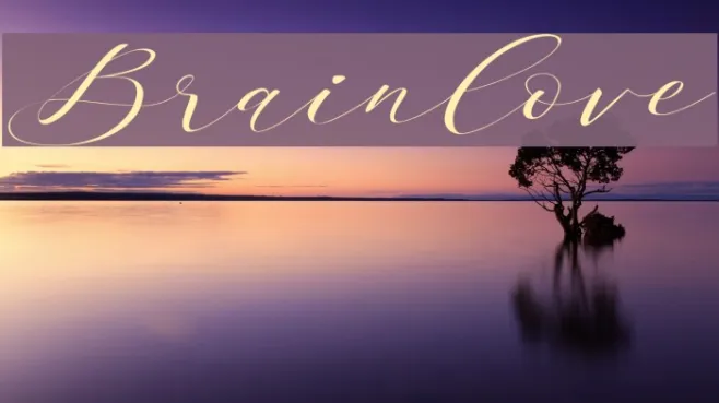 Brainlove Example 1