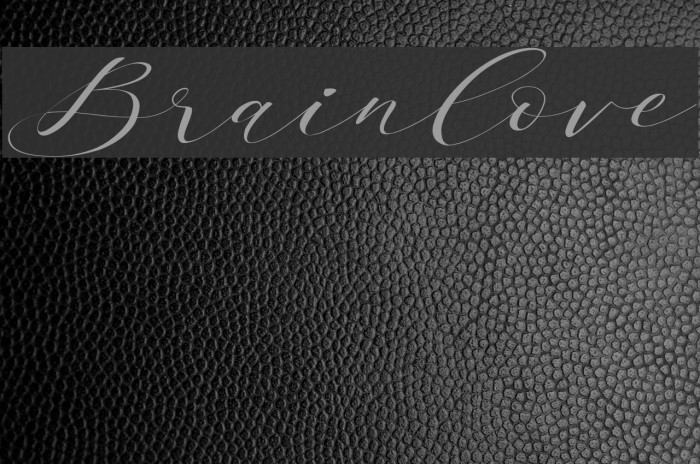 Brainlove Font examples