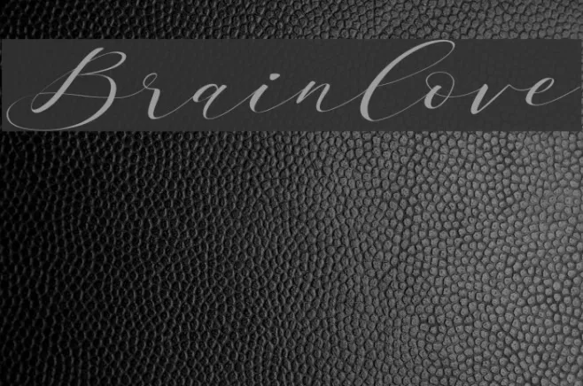 Brainlove Example 2