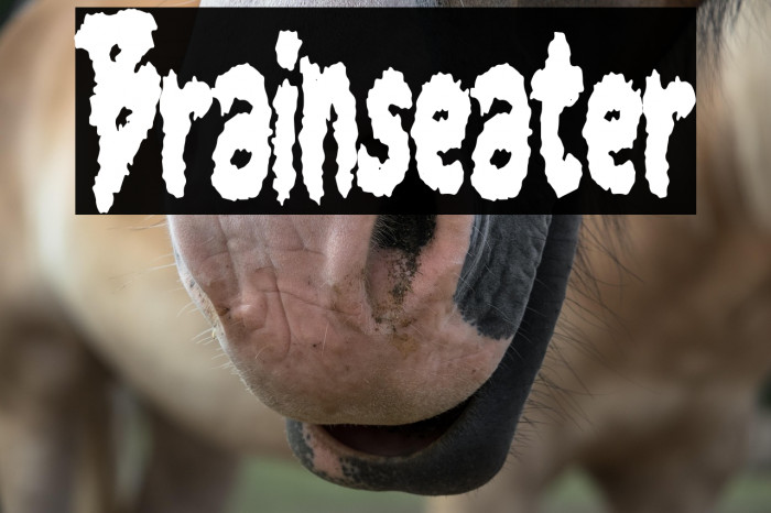 Brainseater Example 1