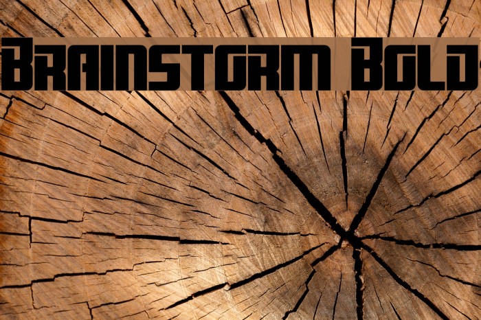 Brainstorm Bold Font examples