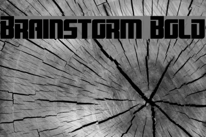 Brainstorm Bold Шрифта examples