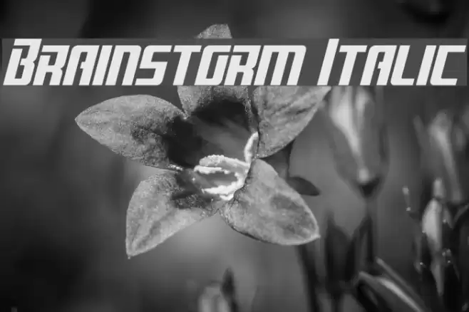Brainstorm Italic Шрифта examples