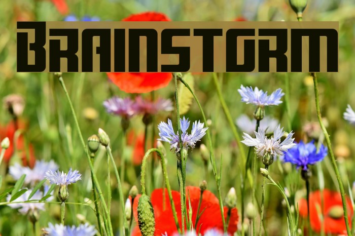 Brainstorm Font examples