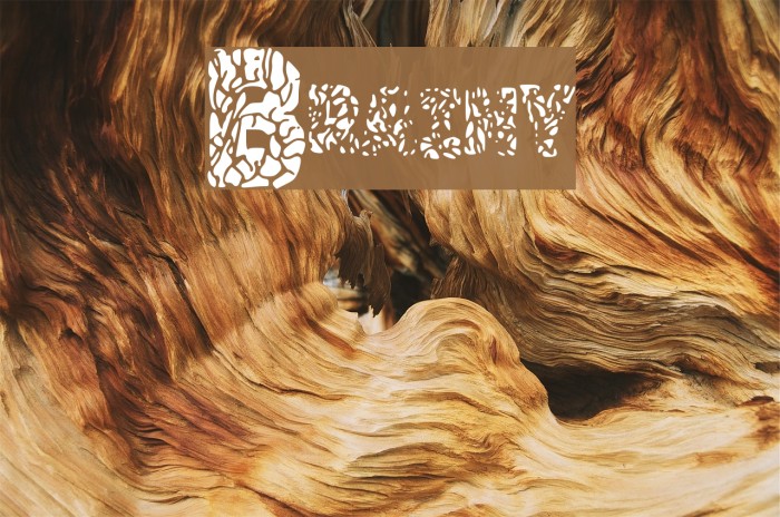 Brainy Font examples