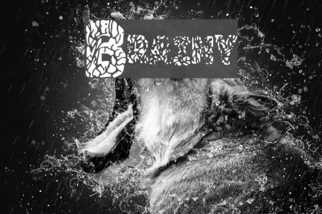 Brainy Font examples