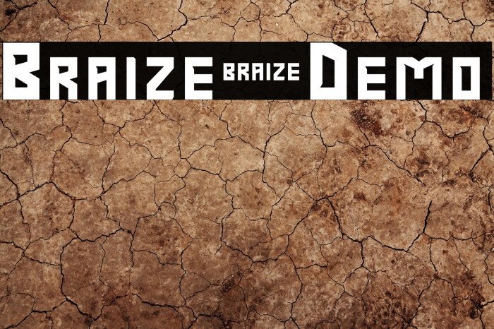 Braize-Demo Example 1