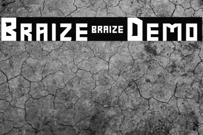 Braize-Demo Font examples