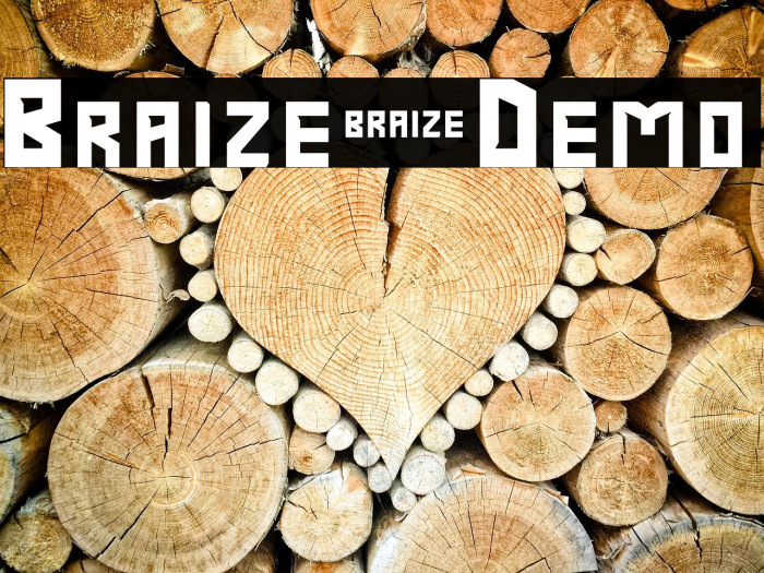 Braize-Demo Example 2