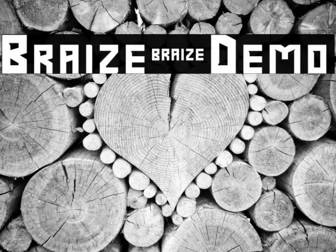 Braize-Demo Font examples