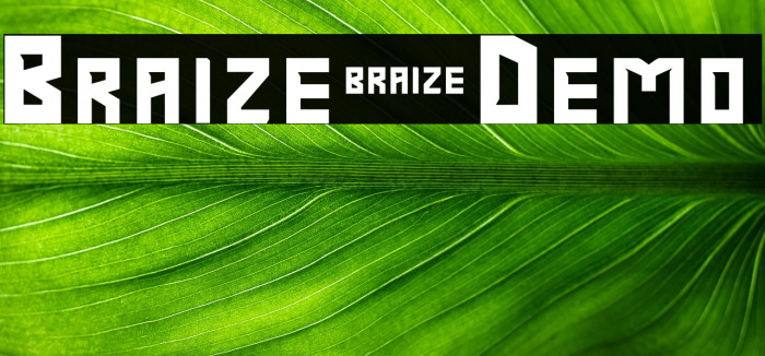 Braize-Demo Example 3