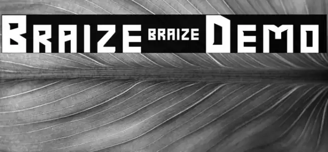 Braize-Demo Font examples