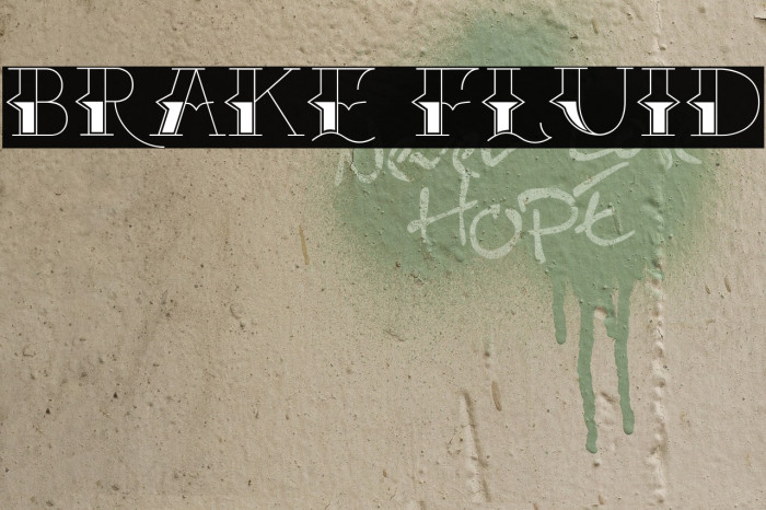 Brake Fluid Example 2