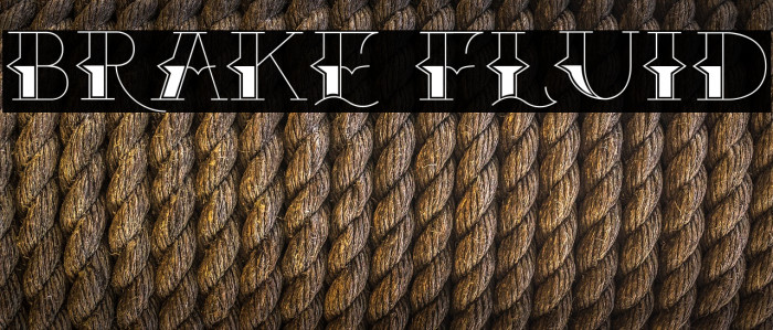 Brake Fluid Example 3