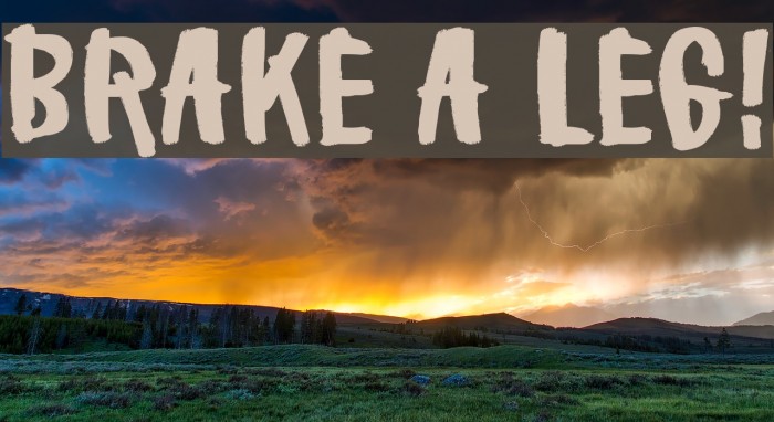 Brake a leg! Font examples