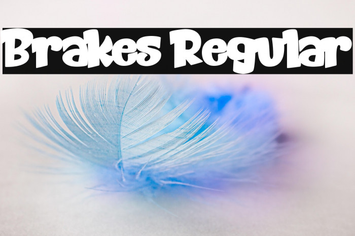 Brakes Regular Example 1