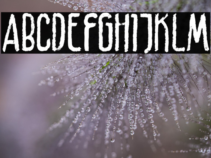 Braleno DEMO-Solid Example 3