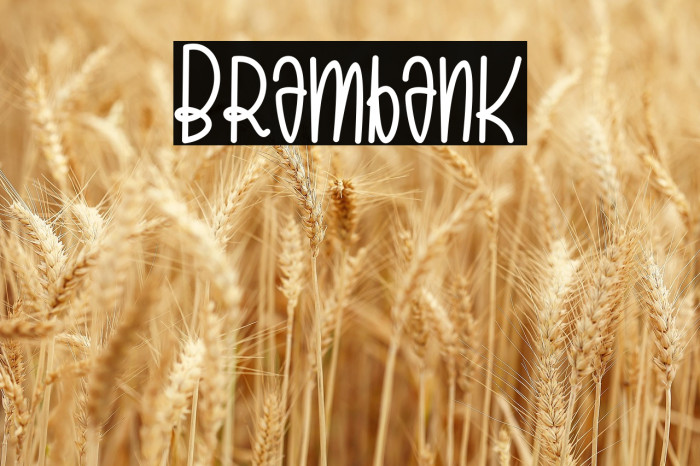 Brambank Example 3