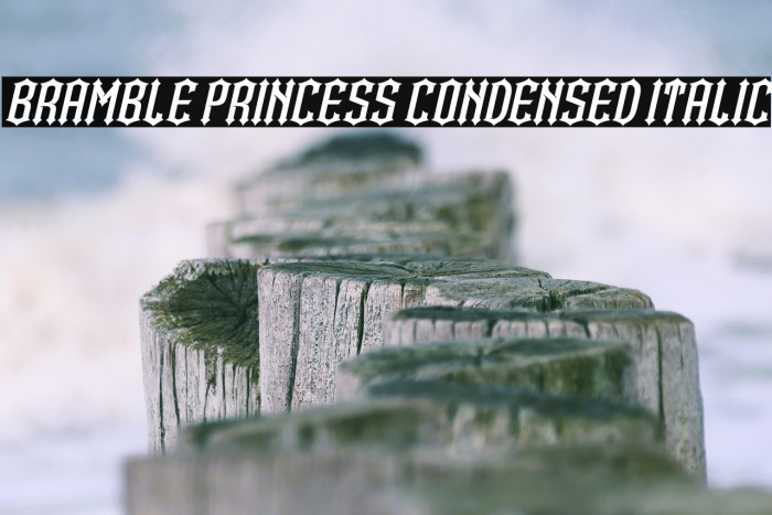 Bramble Princess Condensed Italic Example 3