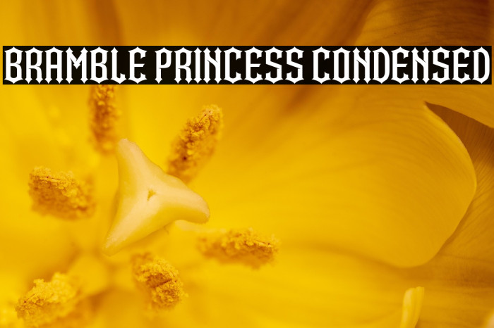 Bramble Princess Condensed Example 1