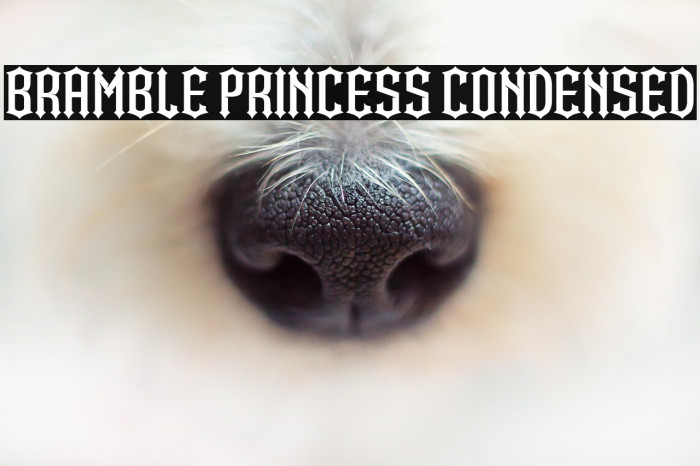 Bramble Princess Condensed Example 3