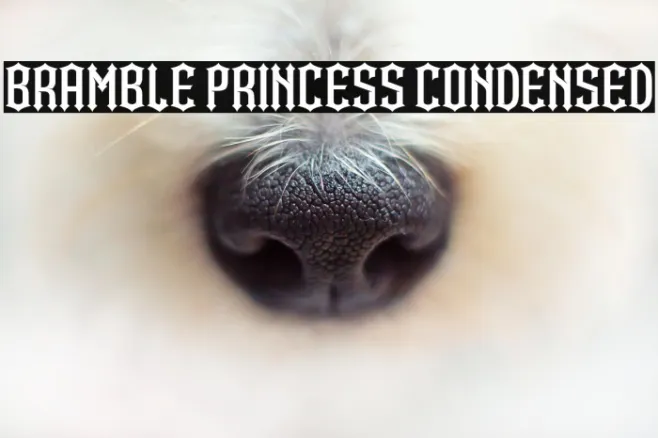 Bramble Princess Condensed Example 3