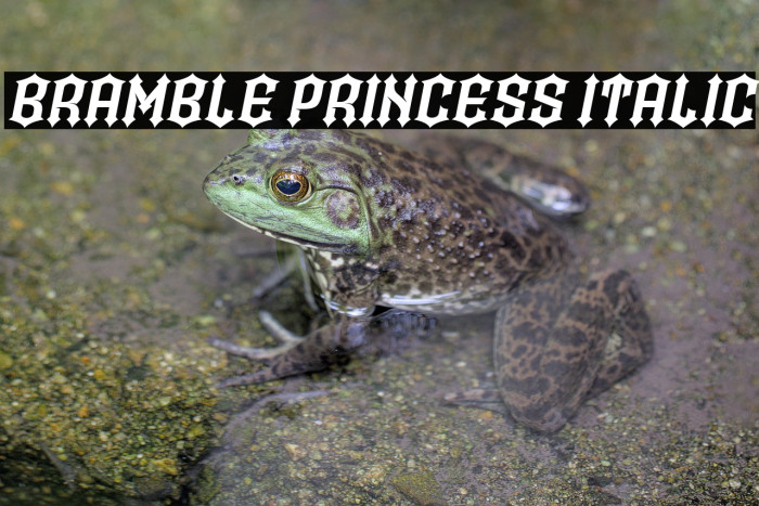 Bramble Princess Italic Example 1