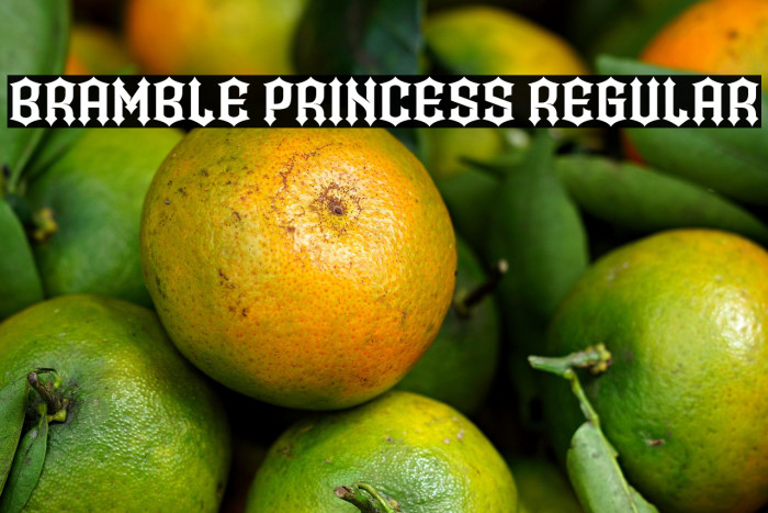 Bramble Princess Regular Example 3