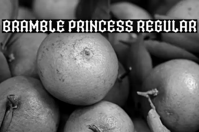 Bramble Princess Regular Font examples
