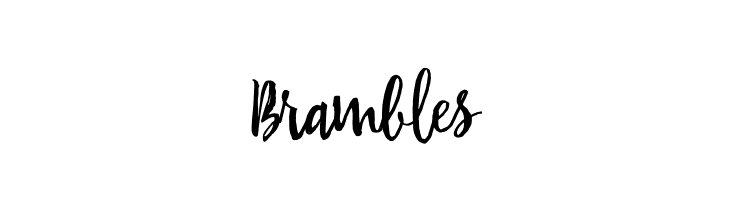 Brambles  Free Fonts Download