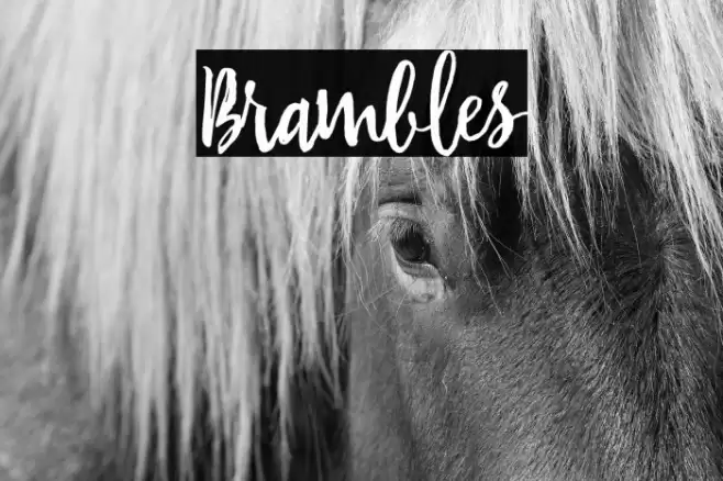 Brambles Font examples
