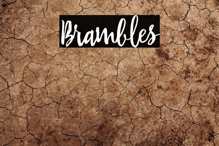 Brambles Example 2