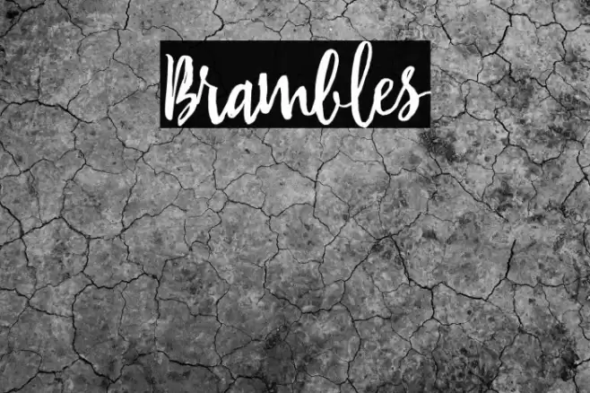 Brambles Font examples