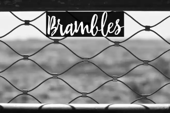 Brambles Font examples