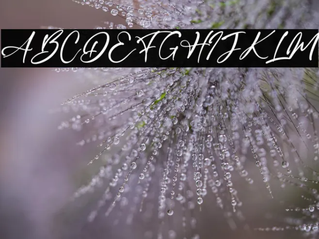 Branches Example 2