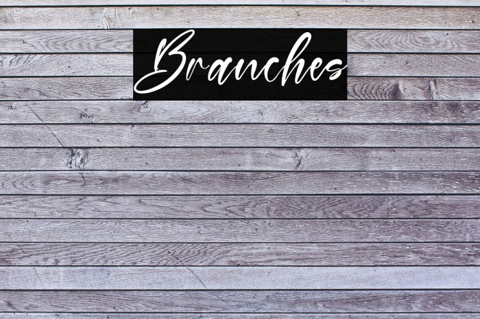 Branches Example 1