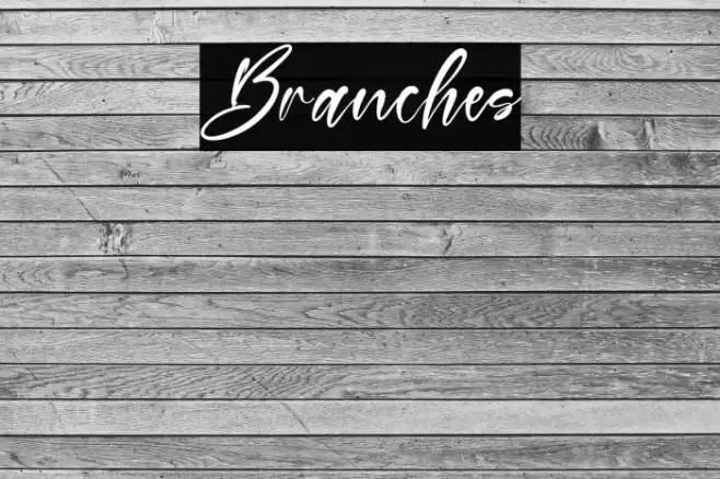 Branches Font examples