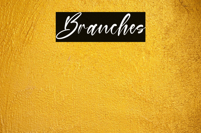 Branches Example 2