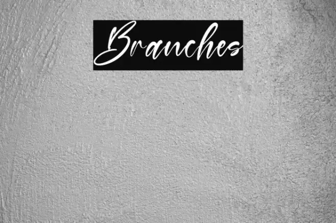Branches Font examples