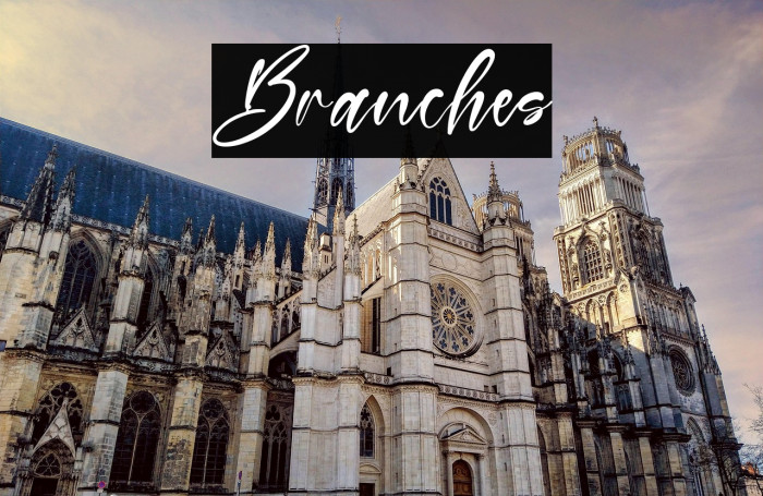 Branches Example 3