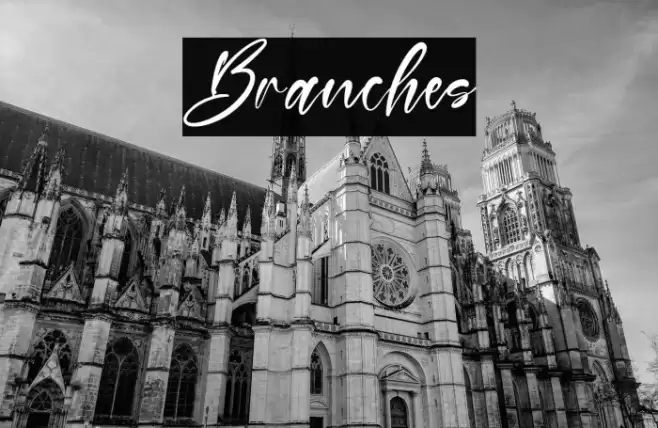 Branches Font examples