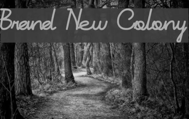 Brand New Colony Font examples