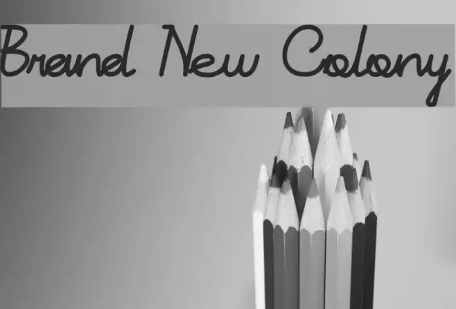Brand New Colony Font examples