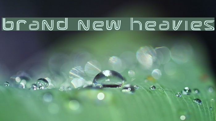 Brand New Heavies Example 3