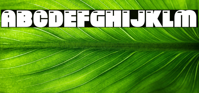 Brand New Retro Example 2