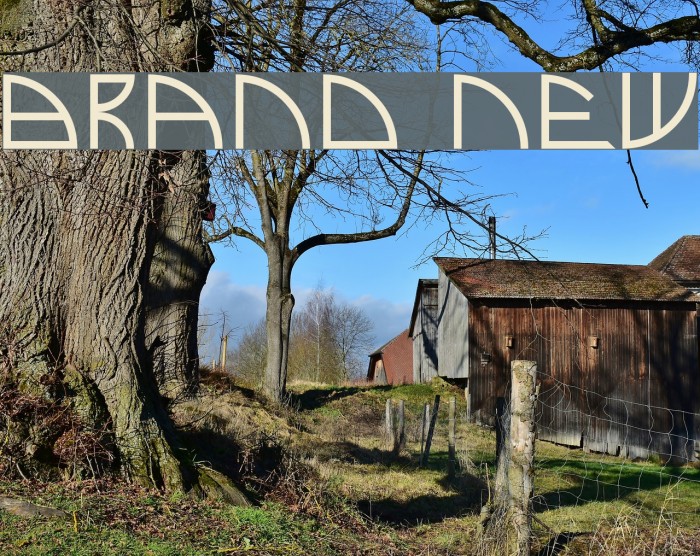 Brand New Font examples