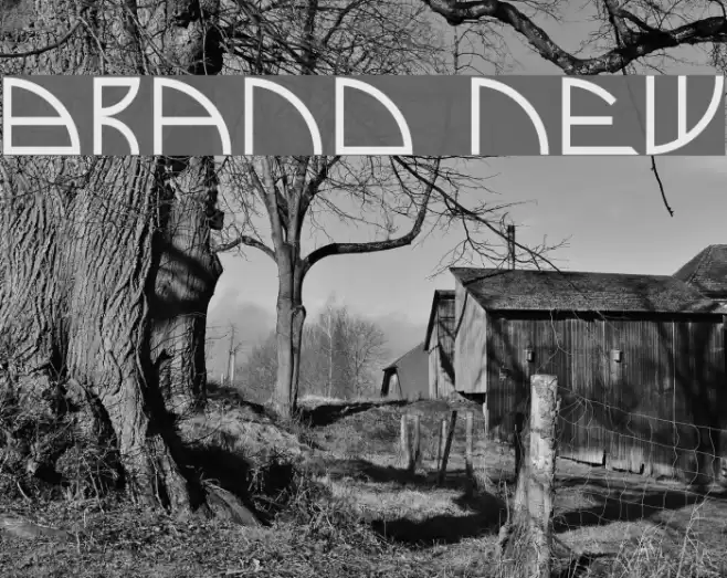 Brand New Font examples