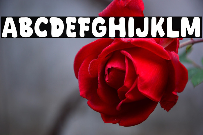 Brand Street Example 1